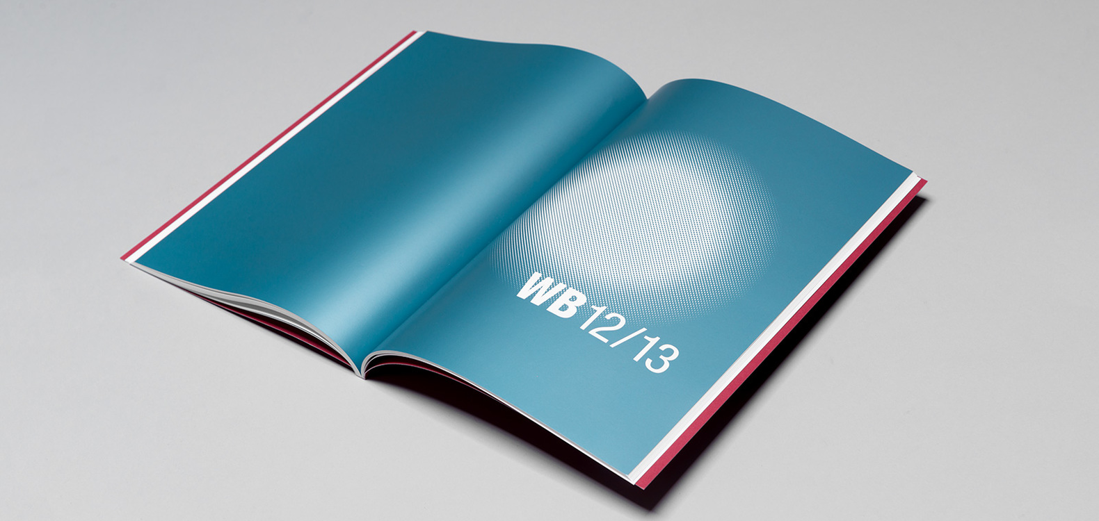 Editorial Design: Jahresbericht 12 / 13